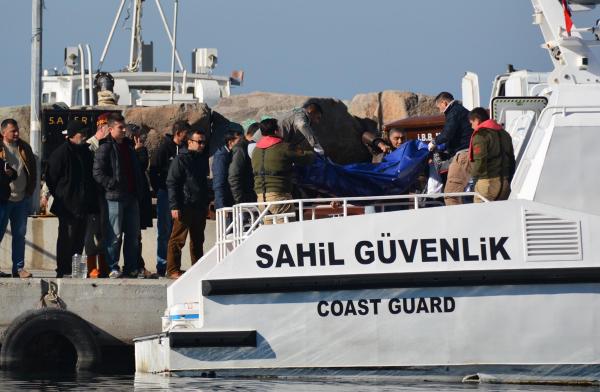 Dikili'de 56 kaçak kurtarıldı (2)