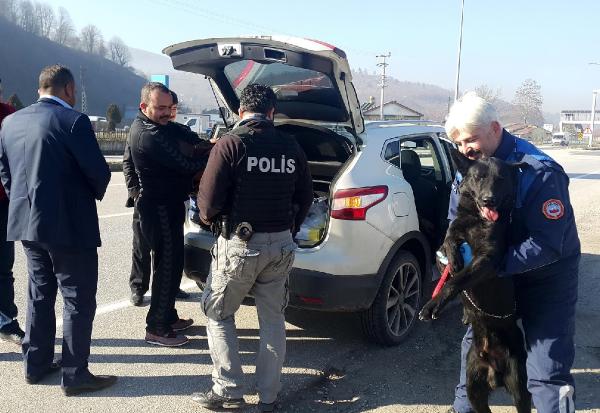 Düzce'de şüpheli araçlarda köpekli arama