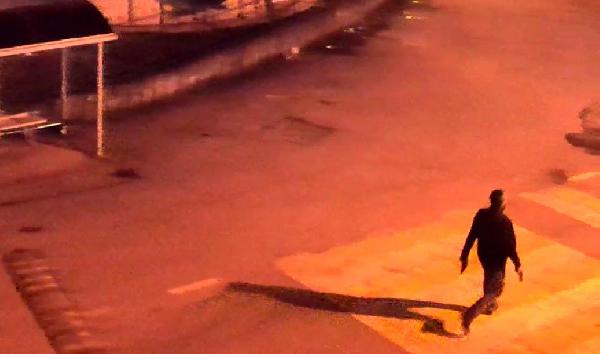 Mobese kamerası önünde 2 tabancayla havaya ateş açtı, yakalandı