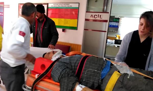 Kestiği ağacın altında kalan orman işçisi yaralandı