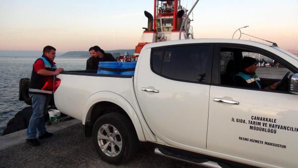 Çanakkale'de kaçak toplanan 200 kilo deniz patlıcanı ele geçirildi