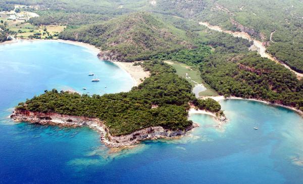Tamince'nin Phalesis rüyası bitti