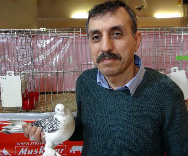 Köln'de, Şebap Güvercini Festivali Yapıldı