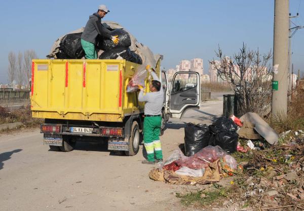 Bursa’da yol kenarında atılmış 100 kilogram at eti bulundu