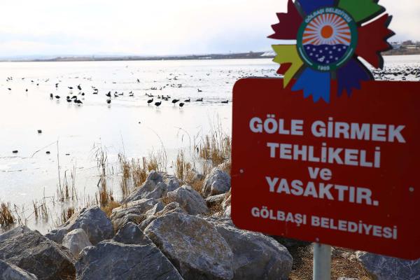 Mogan Gölü buz tuttu, aç kalan kuşlara yem atıldı