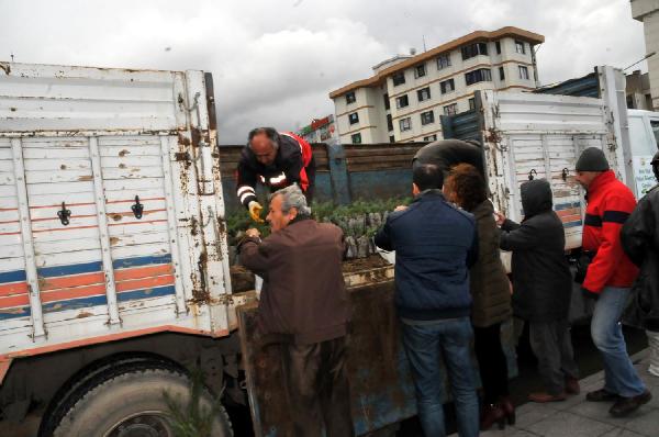 Yalova’da yılbaşı öncesi 8 bin fıstık çamı dağıtıldı