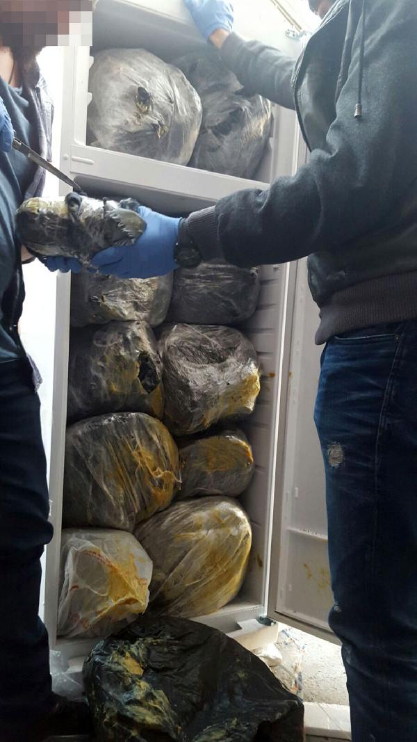 Buzdolabı ve derin dondurucuda 80 kilo esrar yakalandı