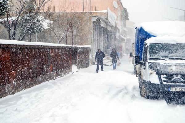 Bitlis’te kar tatili (2)