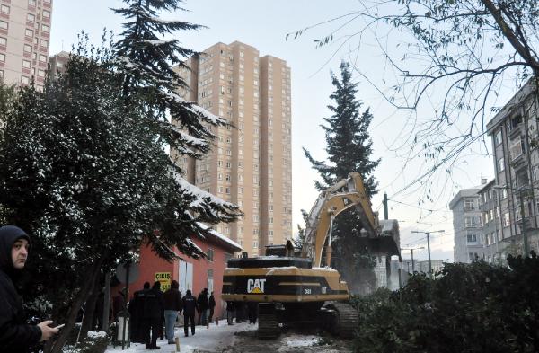 Sabah 06:00'da işmakineleriyle ağaçları yıktılar