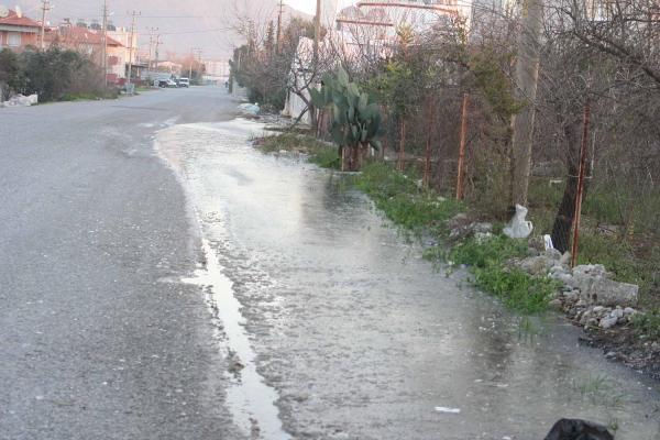 Ortaca'da narenciye dondu, seralar sobayla ısıtıldı