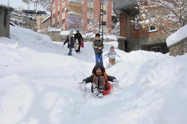 Kar yağışı Van, Bitlis, Hakkari'de hayatı durma noktasına getirdi