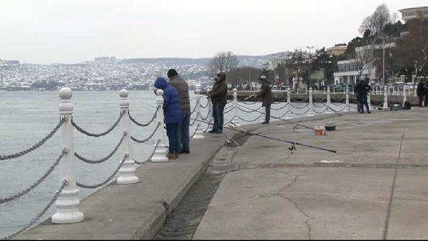 Olta balıkçıları "Boğaz'da gırgır ve trol'e hayır" dedi