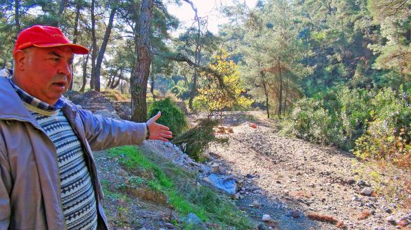 Armutalan'ın ormanları çöplüğe döndü
