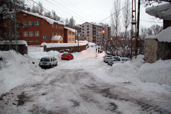 Van, Hakkari ve Bitlis'te yollar kardan kapalı