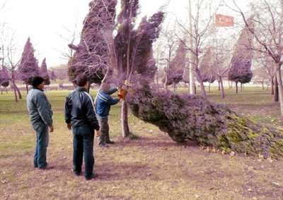İzmir- Ankara karayolunda ulaşıma fırtına engeli