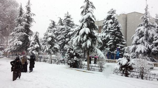 Isparta güne karla başladı (2)