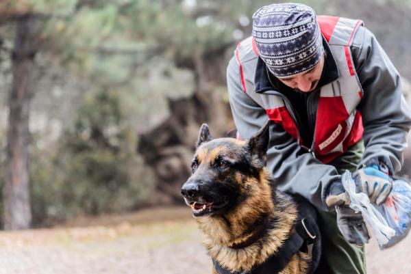 AKUT'un 'Fırtına' köpeğine koku takip eğitimi