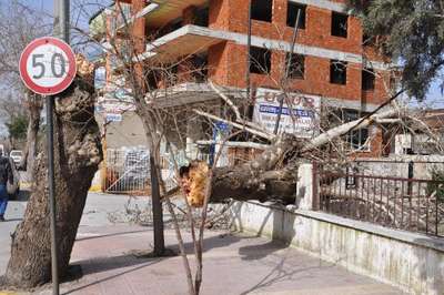 Şiddetli lodos Denizli'de çatıları uçurdu