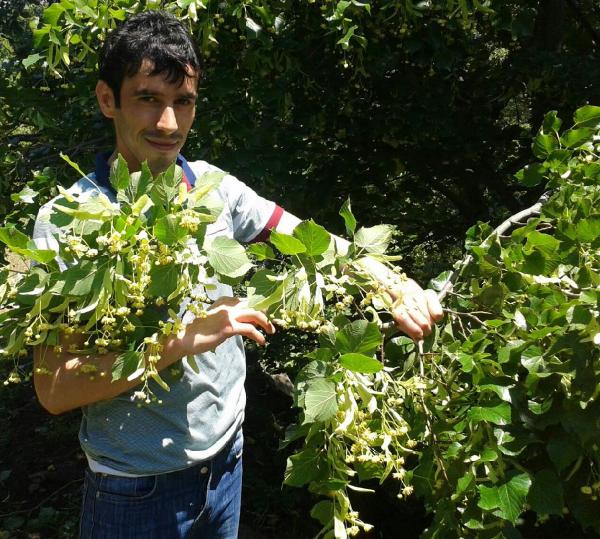 Şehidin acı haberi Ordu'ya ulaştı