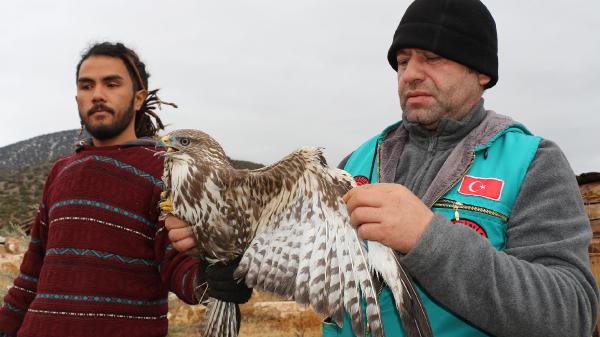 Karlı arazideki yaralı şahin korumaya alındı