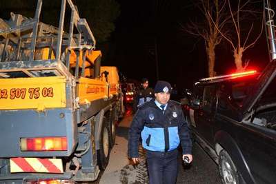 Lodos fırtınası Manisa'da çam ağaçlarını devirdi
