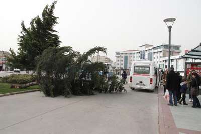 Balıkesir'de lodosun faturası ağır oldu, 1 kişi öldü
