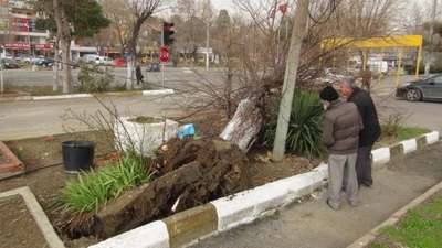 Trakya’da fırtına etkili oldu (2)