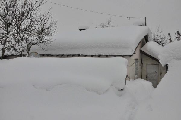 Bitlis'te 91 köy yolu ulaşıma kapalı