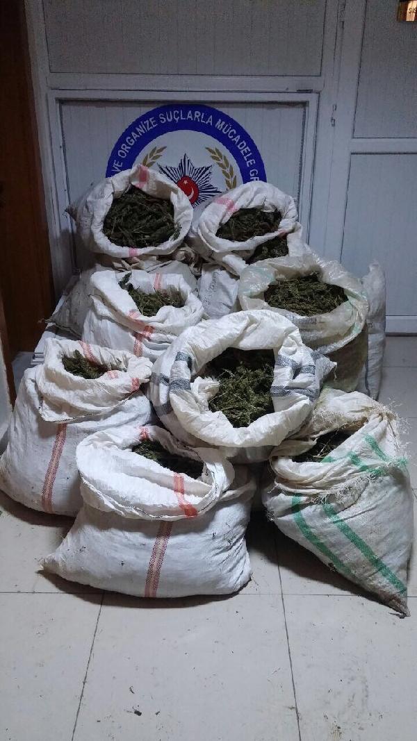 Siverek'te samanların arasında 138 kilo esrar ele geçti