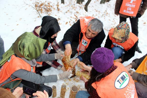 Bingöl'deki TEMA Vakfı üyeleri, sokak hayvanları için yem bıraktı