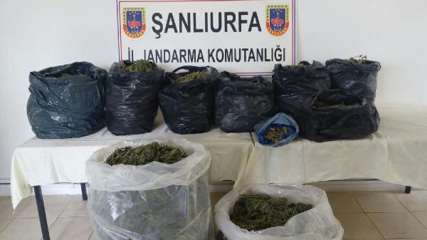 Siverek’te otomobil bagajında 67 kilo esrar ele geçti