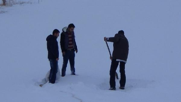 Doğadaki hayvanlar unutulmadı