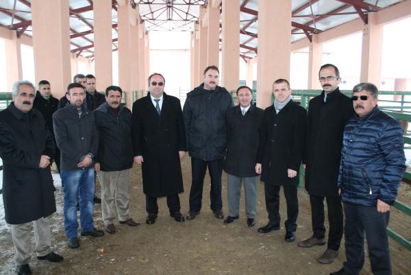 İŞKUR'dan eski hükümlülere süt ineği