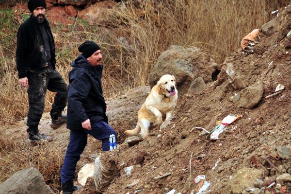 Kayıp çocukları özel eğitimli köpekler arıyor