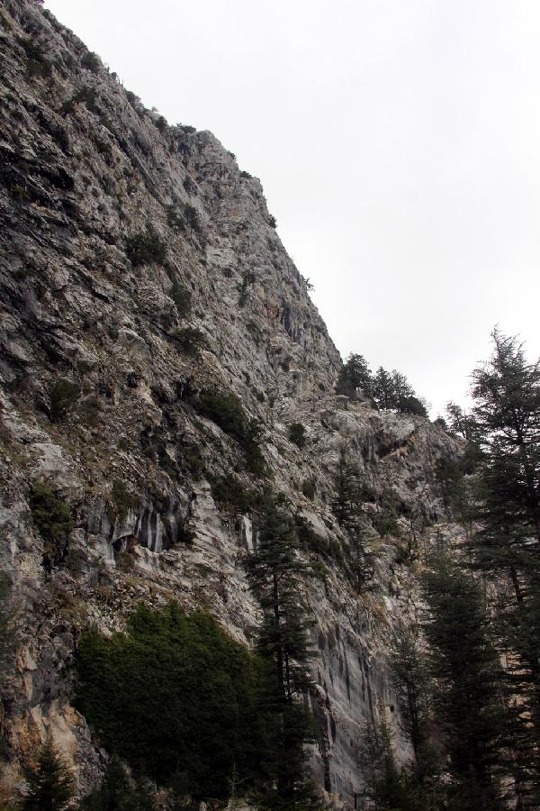 Keçi kurtarmaya çalışan iki kardeş uçurumdan düştü, biri öldü, diğeri yaralandı
