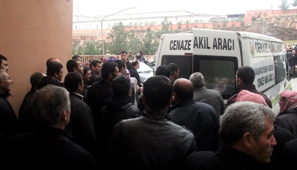 Şanlıurfa’da domuz gribinden ölüm şüphesi