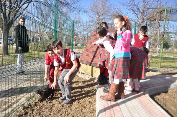 İnegöl’de ‘Pisi Bahçe’ kedi yaşam merkezi açıldı