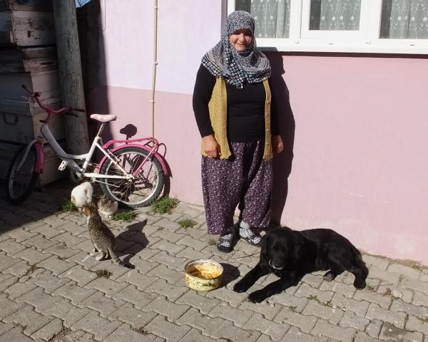 Kedilerle köpeğin dostluğu