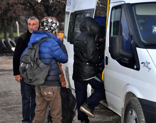 Zeytinlikte 35 kaçak yakalandı