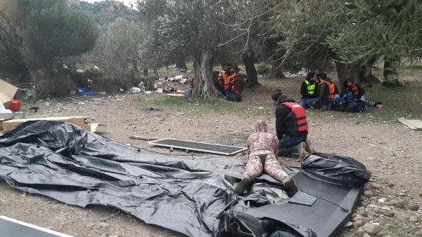 Ayvacık'ta 837 kaçak yakalandı