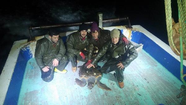 Balıkçıların ağına Caretta Caretta takıldı