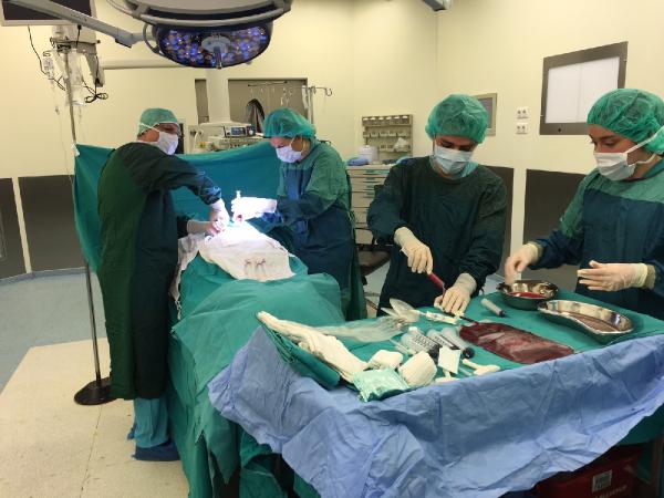 Uludağ Üniversitesi’nde bir ilk daha