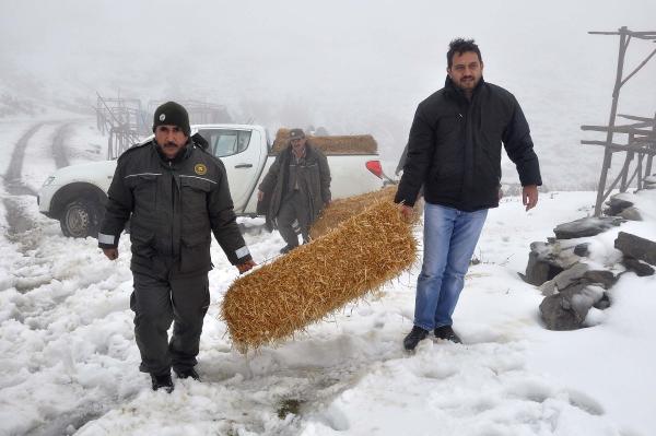 Osmaniye'de yaban hayvanları için doğaya yiyecek bırakıldı