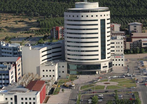 Domuz gribi Denizli'de can aldı