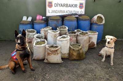 Diyarbakır'da 347 kilo esrar ele geçirildi