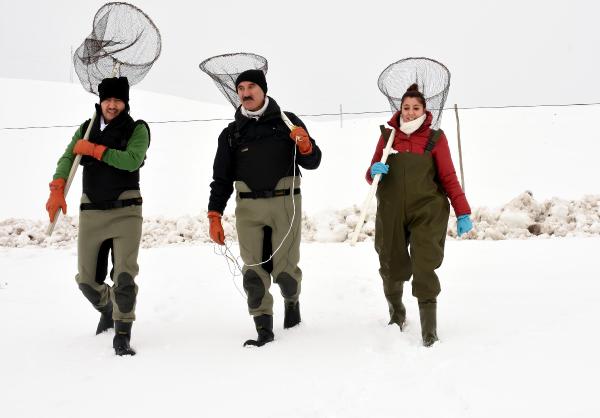 Balıklara HES engeli