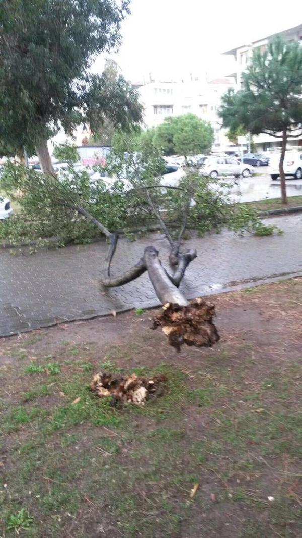 Fırtına ve yağmur İzmir'i vurdu