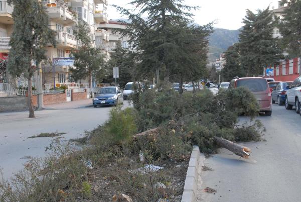 Denizli rüzgara teslim