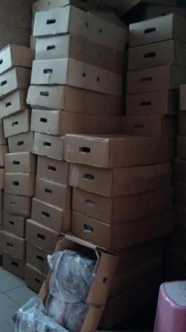 Bingöl'de 14 ton kaçak et ele geçirildi