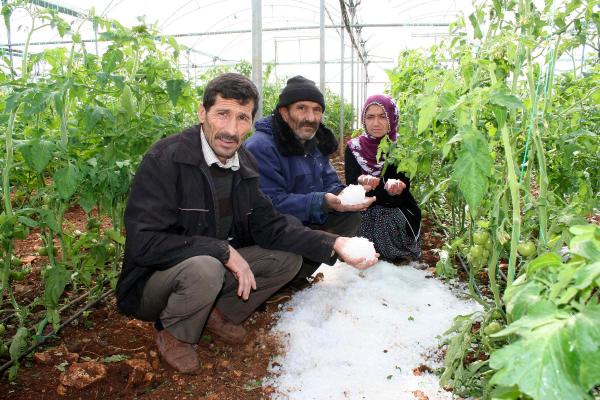Fırtına ve dolu yağışı çiftçiyi vurdu